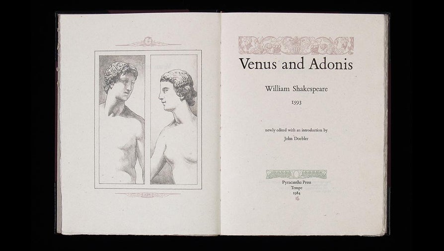 pyracantha press venus and adonis 01